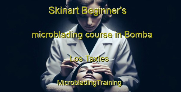 Skinart Beginner's microblading course in Bomba Los Taxtes | #MicrobladingTraining #MicrobladingClasses #SkinartTraining-Mexico