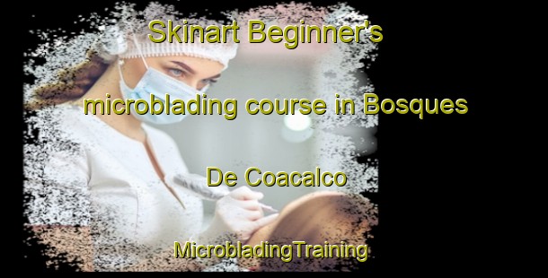 Skinart Beginner's microblading course in Bosques De Coacalco | #MicrobladingTraining #MicrobladingClasses #SkinartTraining-Mexico