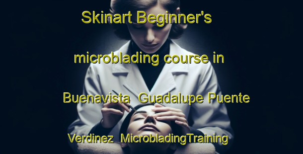 Skinart Beginner's microblading course in Buenavista  Guadalupe Puente Verdinez | #MicrobladingTraining #MicrobladingClasses #SkinartTraining-Mexico