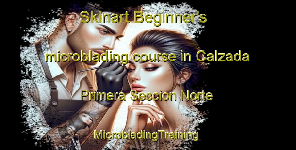 Skinart Beginner's microblading course in Calzada Primera Seccion Norte | #MicrobladingTraining #MicrobladingClasses #SkinartTraining-Mexico