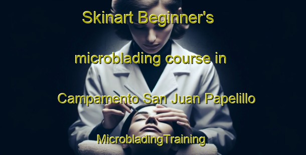 Skinart Beginner's microblading course in Campamento San Juan Papelillo | #MicrobladingTraining #MicrobladingClasses #SkinartTraining-Mexico