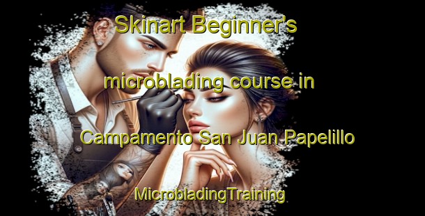 Skinart Beginner's microblading course in Campamento San Juan Papelillo | #MicrobladingTraining #MicrobladingClasses #SkinartTraining-Mexico