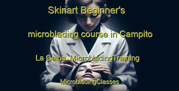 Skinart Beginner's microblading course in Campito La Ceiba | #MicrobladingTraining #MicrobladingClasses #SkinartTraining-Mexico