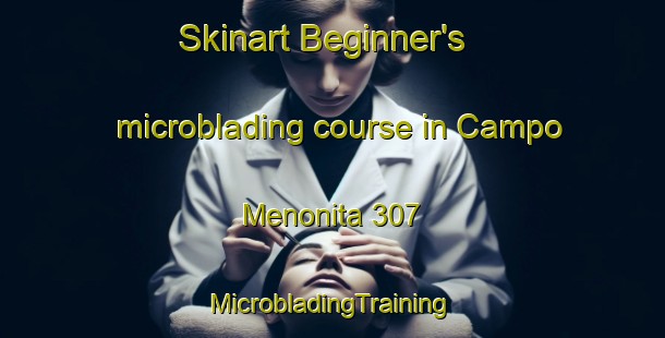 Skinart Beginner's microblading course in Campo Menonita 307 | #MicrobladingTraining #MicrobladingClasses #SkinartTraining-Mexico