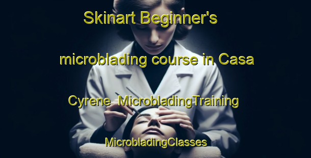 Skinart Beginner's microblading course in Casa Cyrene | #MicrobladingTraining #MicrobladingClasses #SkinartTraining-Mexico