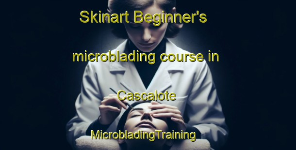 Skinart Beginner's microblading course in Cascalote | MicrobladingTraining | MicrobladingClasses | SkinartTraining-Mexico