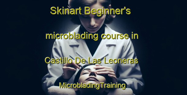 Skinart Beginner's microblading course in Castillo De Las Leoneras | #MicrobladingTraining #MicrobladingClasses #SkinartTraining-Mexico