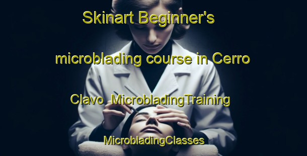 Skinart Beginner's microblading course in Cerro Clavo | #MicrobladingTraining #MicrobladingClasses #SkinartTraining-Mexico