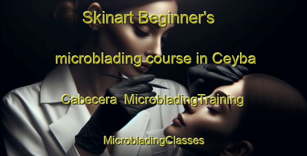 Skinart Beginner's microblading course in Ceyba Cabecera | #MicrobladingTraining #MicrobladingClasses #SkinartTraining-Mexico