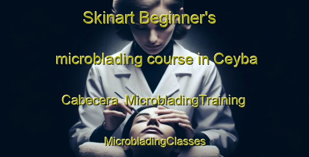 Skinart Beginner's microblading course in Ceyba Cabecera | #MicrobladingTraining #MicrobladingClasses #SkinartTraining-Mexico