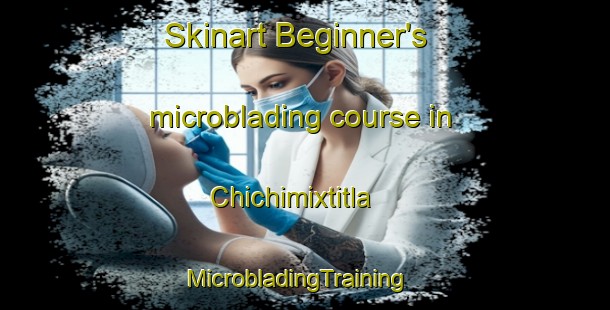 Skinart Beginner's microblading course in Chichimixtitla | MicrobladingTraining | MicrobladingClasses | SkinartTraining-Mexico