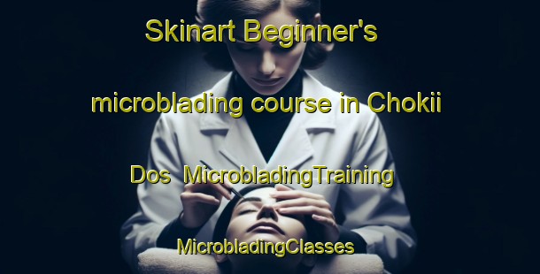 Skinart Beginner's microblading course in Chokii Dos | MicrobladingTraining | MicrobladingClasses | SkinartTraining-Mexico
