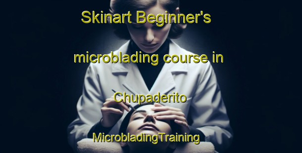 Skinart Beginner's microblading course in Chupaderito | MicrobladingTraining | MicrobladingClasses | SkinartTraining-Mexico