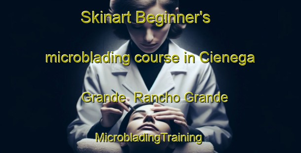 Skinart Beginner's microblading course in Cienega Grande  Rancho Grande | #MicrobladingTraining #MicrobladingClasses #SkinartTraining-Mexico