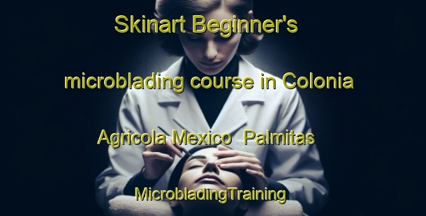 Skinart Beginner's microblading course in Colonia Agricola Mexico  Palmitas | #MicrobladingTraining #MicrobladingClasses #SkinartTraining-Mexico