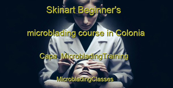 Skinart Beginner's microblading course in Colonia Capa | MicrobladingTraining | MicrobladingClasses | SkinartTraining-Mexico