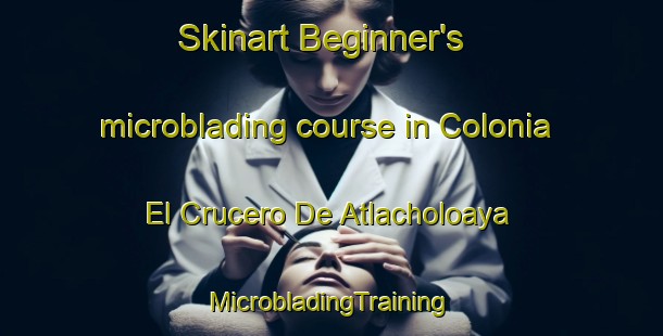 Skinart Beginner's microblading course in Colonia El Crucero De Atlacholoaya | #MicrobladingTraining #MicrobladingClasses #SkinartTraining-Mexico