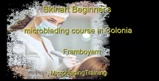 Skinart Beginner's microblading course in Colonia Framboyam | #MicrobladingTraining #MicrobladingClasses #SkinartTraining-Mexico