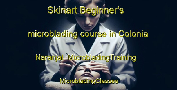 Skinart Beginner's microblading course in Colonia Naranjal | #MicrobladingTraining #MicrobladingClasses #SkinartTraining-Mexico