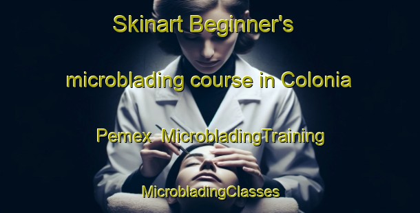 Skinart Beginner's microblading course in Colonia Pemex | #MicrobladingTraining #MicrobladingClasses #SkinartTraining-Mexico