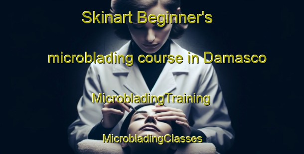 Skinart Beginner's microblading course in Damasco | #MicrobladingTraining #MicrobladingClasses #SkinartTraining-Mexico