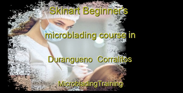 Skinart Beginner's microblading course in Durangueno  Corralitos | #MicrobladingTraining #MicrobladingClasses #SkinartTraining-Mexico