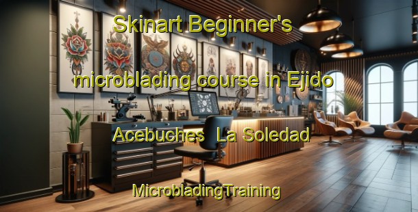 Skinart Beginner's microblading course in Ejido Acebuches  La Soledad | #MicrobladingTraining #MicrobladingClasses #SkinartTraining-Mexico