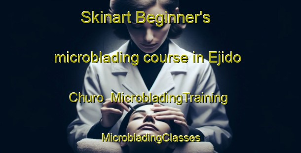 Skinart Beginner's microblading course in Ejido Churo | #MicrobladingTraining #MicrobladingClasses #SkinartTraining-Mexico