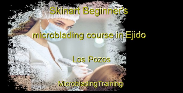 Skinart Beginner's microblading course in Ejido Los Pozos | #MicrobladingTraining #MicrobladingClasses #SkinartTraining-Mexico