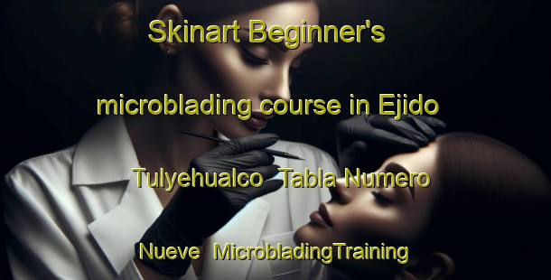 Skinart Beginner's microblading course in Ejido Tulyehualco  Tabla Numero Nueve | #MicrobladingTraining #MicrobladingClasses #SkinartTraining-Mexico