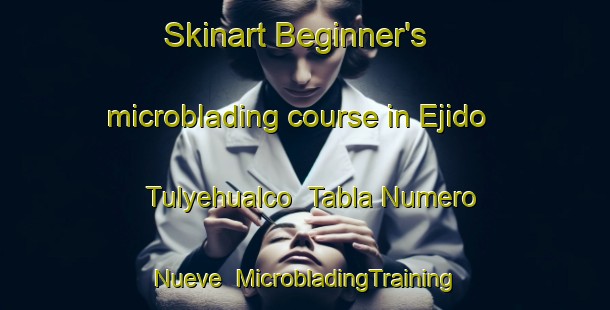 Skinart Beginner's microblading course in Ejido Tulyehualco  Tabla Numero Nueve | #MicrobladingTraining #MicrobladingClasses #SkinartTraining-Mexico