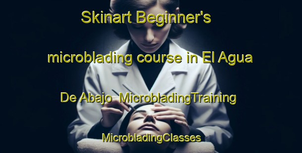 Skinart Beginner's microblading course in El Agua De Abajo | #MicrobladingTraining #MicrobladingClasses #SkinartTraining-Mexico