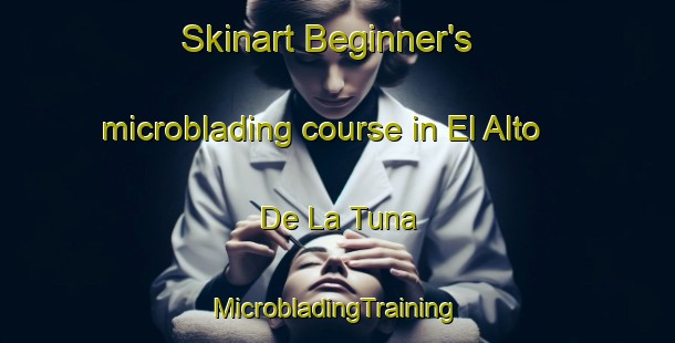 Skinart Beginner's microblading course in El Alto De La Tuna | #MicrobladingTraining #MicrobladingClasses #SkinartTraining-Mexico