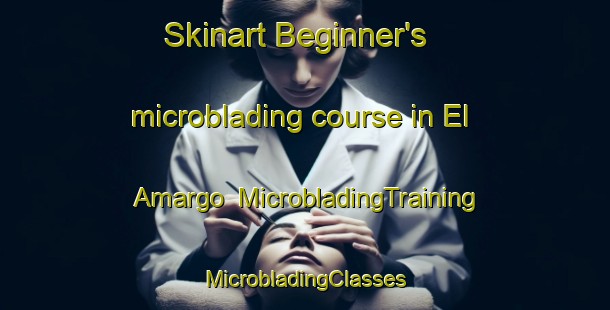 Skinart Beginner's microblading course in El Amargo | #MicrobladingTraining #MicrobladingClasses #SkinartTraining-Mexico