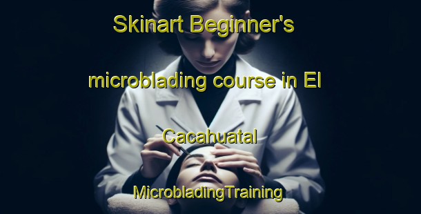 Skinart Beginner's microblading course in El Cacahuatal | #MicrobladingTraining #MicrobladingClasses #SkinartTraining-Mexico