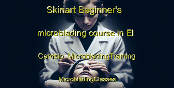 Skinart Beginner's microblading course in El Cambio | #MicrobladingTraining #MicrobladingClasses #SkinartTraining-Mexico