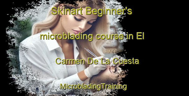 Skinart Beginner's microblading course in El Carmen De La Cuesta | #MicrobladingTraining #MicrobladingClasses #SkinartTraining-Mexico