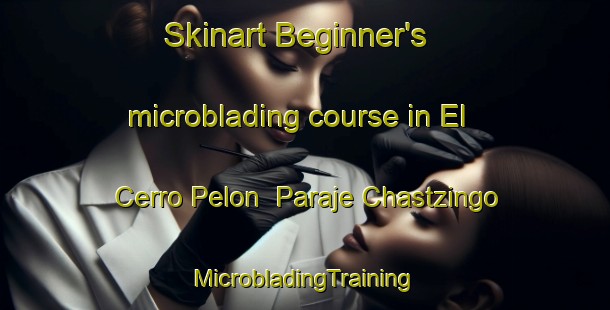 Skinart Beginner's microblading course in El Cerro Pelon  Paraje Chastzingo | #MicrobladingTraining #MicrobladingClasses #SkinartTraining-Mexico