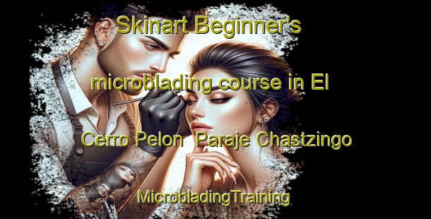 Skinart Beginner's microblading course in El Cerro Pelon  Paraje Chastzingo | #MicrobladingTraining #MicrobladingClasses #SkinartTraining-Mexico