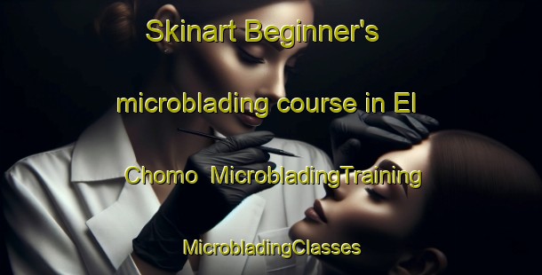 Skinart Beginner's microblading course in El Chomo | #MicrobladingTraining #MicrobladingClasses #SkinartTraining-Mexico