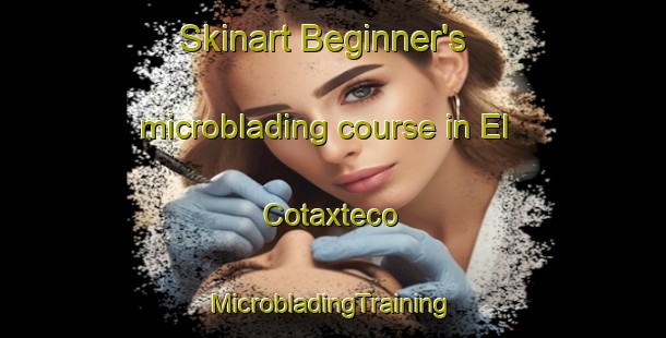 Skinart Beginner's microblading course in El Cotaxteco | #MicrobladingTraining #MicrobladingClasses #SkinartTraining-Mexico