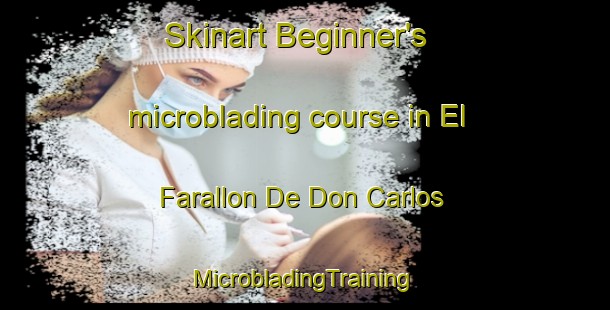 Skinart Beginner's microblading course in El Farallon De Don Carlos | #MicrobladingTraining #MicrobladingClasses #SkinartTraining-Mexico