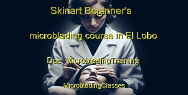 Skinart Beginner's microblading course in El Lobo Dos | #MicrobladingTraining #MicrobladingClasses #SkinartTraining-Mexico