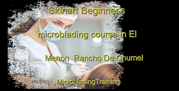 Skinart Beginner's microblading course in El Menon  Rancho De Chumel | #MicrobladingTraining #MicrobladingClasses #SkinartTraining-Mexico