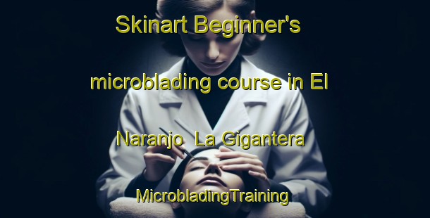 Skinart Beginner's microblading course in El Naranjo  La Gigantera | #MicrobladingTraining #MicrobladingClasses #SkinartTraining-Mexico