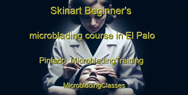 Skinart Beginner's microblading course in El Palo Pintado | #MicrobladingTraining #MicrobladingClasses #SkinartTraining-Mexico