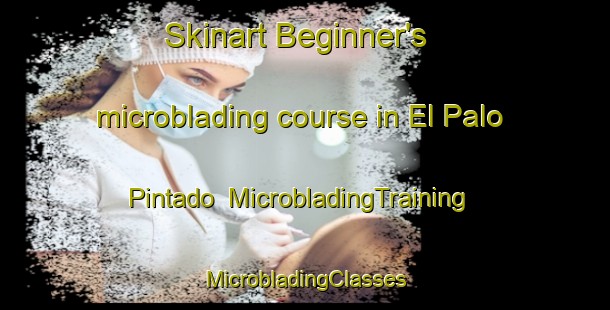 Skinart Beginner's microblading course in El Palo Pintado | #MicrobladingTraining #MicrobladingClasses #SkinartTraining-Mexico