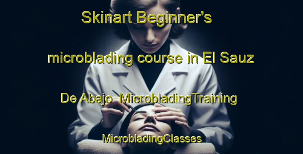 Skinart Beginner's microblading course in El Sauz De Abajo | #MicrobladingTraining #MicrobladingClasses #SkinartTraining-Mexico