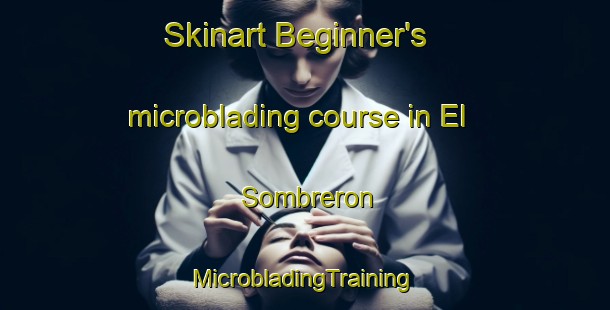 Skinart Beginner's microblading course in El Sombreron | #MicrobladingTraining #MicrobladingClasses #SkinartTraining-Mexico