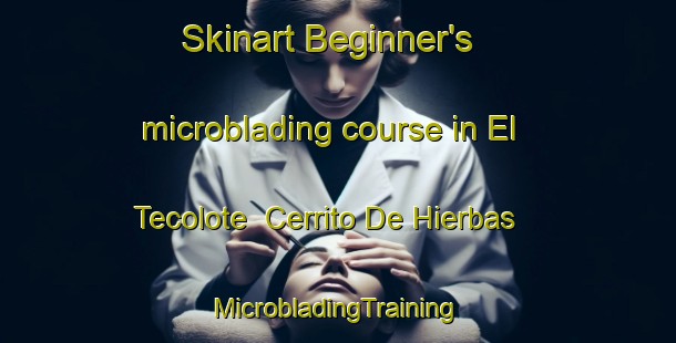 Skinart Beginner's microblading course in El Tecolote  Cerrito De Hierbas | #MicrobladingTraining #MicrobladingClasses #SkinartTraining-Mexico